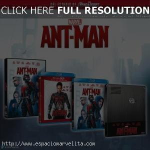 blu-ray-dvd-ant-man