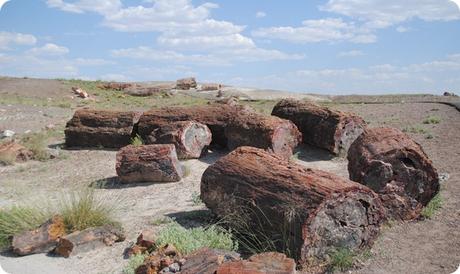 El bosque petrificado Jaramillo está considerado uno de los yacimientos fósiles más importantes de la Argentina.