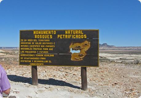 Explotación de oro y plata a cielo abierto en el Bosque Petrificado Jaramillo.