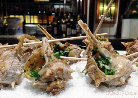 cañaillas patron barcelona baco y boca