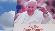 José Mª Castillo pide al Papa que no viaje a Africa para evitar concentraciones.