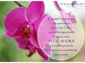 tienes quieres revisa sientes