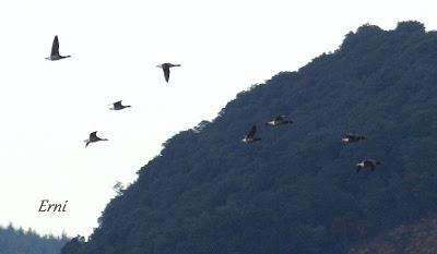 LA PRIMERA NIEVE DEL AÑO