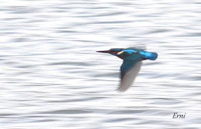 LA PRIMERA NIEVE DEL AÑO
