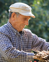 Utensilios, Aperos y Máquinas del ayer:  Escobas de Mijo