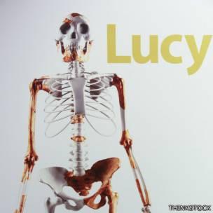 Lucy 