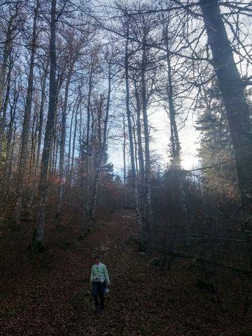 Dia 2 Selva de Irati