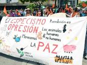 Activismo Animalista Método Científico