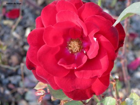 salzburzo en austria