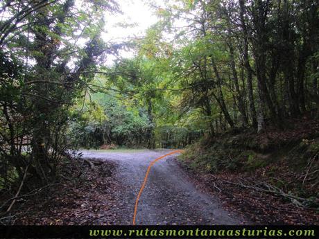 Ruta Bosque de Peloño: desvío a la derecha
