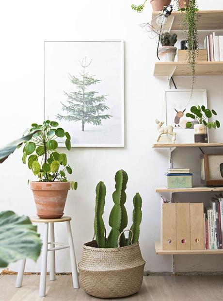 Cestas de fibra vegetal: Ideas para decorar con ellas vuestra casa.