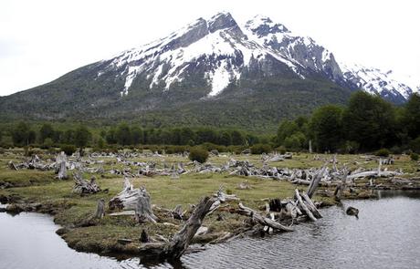 Paisaje del PN Tierra del Fuego