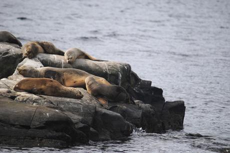 Navegando el Canal de Beagle