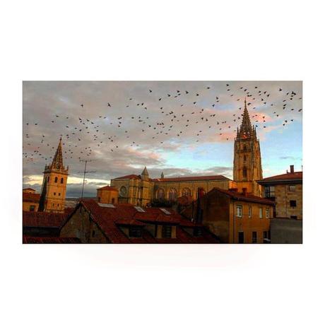 Bandada de estorninos