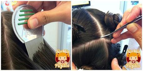 Sin_mas_piojitos-0035