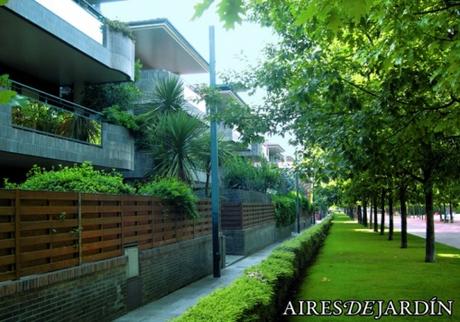 Plagas de jardín: aprende a prevenirlas y a controlarlas