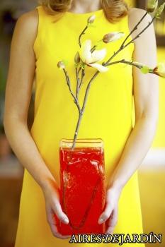 Cómo decorar el jardín de manera económica 