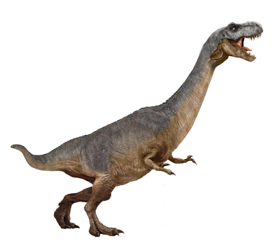 Los animales híbridos de Reddit