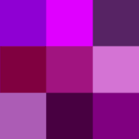 Cuestionario Anescris a Mei L. Rodríguez