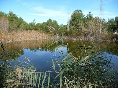 Un passeig per Les Rodanes