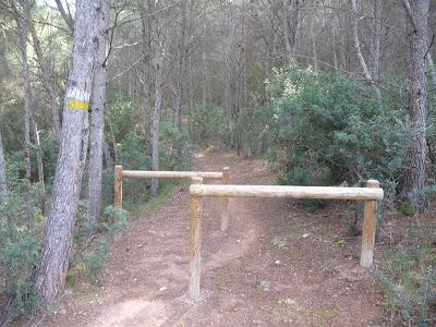 Un passeig per Les Rodanes