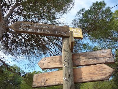 Un passeig per Les Rodanes