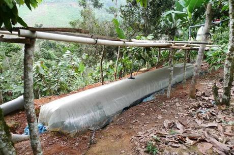 Ecuador entre naciones que buscan tecnologías verdes para reducir calentamiento global