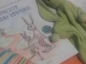 dormir conejito quiere dormirse”