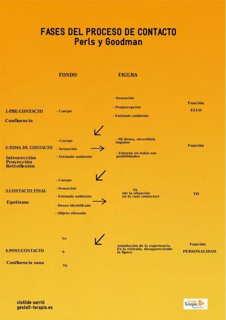 Terapia Gestalt: Las fases del proceso de contacto. Perls y Goodman