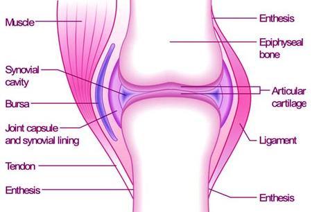 Silicio complez para las articulaciones