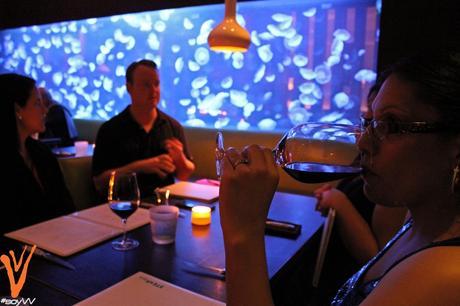 Conociendo Un Lado Exquisito de Fort Lauderdale Conociendo Un Lado Exquisito de Fort Lauderdale