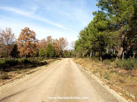 Pista Matallana - La Vereda