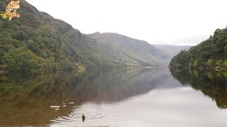 Irlanda en 10 días (VI): Wicklow Moutains