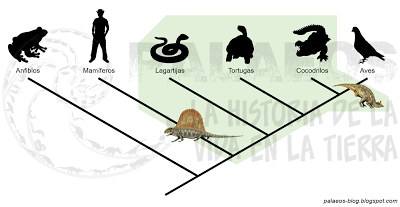 Tres cosas que no sabías del origen de los reptiles