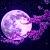 El descanso nocturno