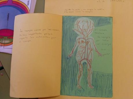 IMG_20151126_101633 (Copiar)