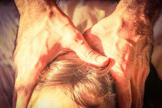 Contacto Raíz: Manos que Acompañan.