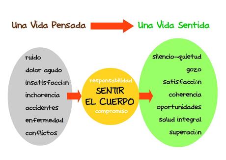 Contacto Raíz: Manos que Acompañan.