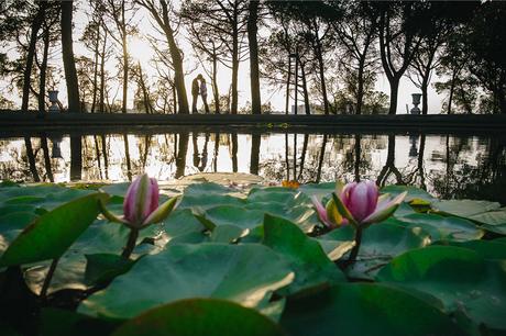 fotografia-boda-naturaleza-14