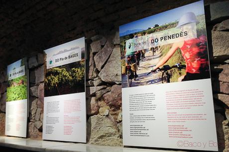 espacio enoturismo Colon baco y boca