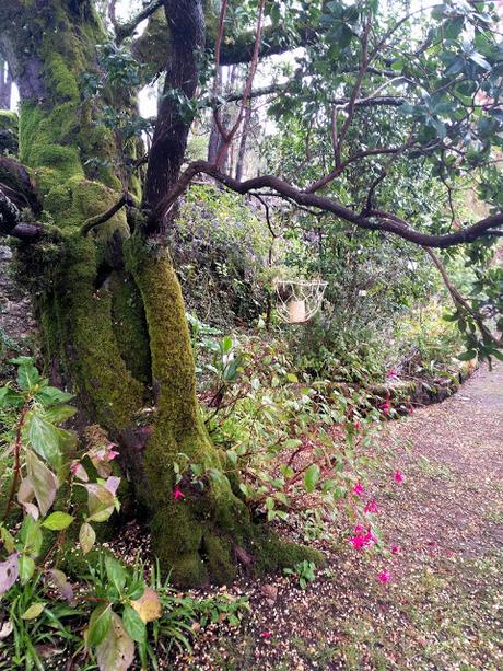 El jardín de La Saleta en otoño, del 1 al 30 de noviembre de 2015. Saleta's Garden in autumn, November 1-30, 2015.