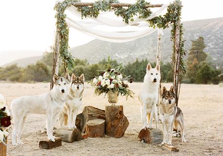 →Winter Wedding Inspiration←