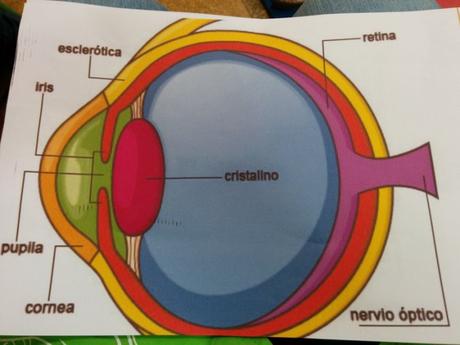 IMG_20151126_100900 (Copiar)