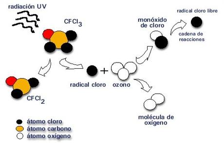 Reacción química de CFC con el ozono