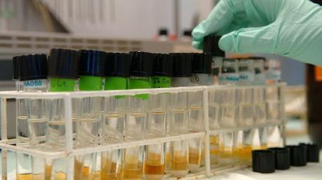 Hacia el fin del cáncer: La Lucha contra la enfermedad cambiará en 2016. Hacia el fin del cáncer: La Lucha contra la enfermedad cambiará en 2016.