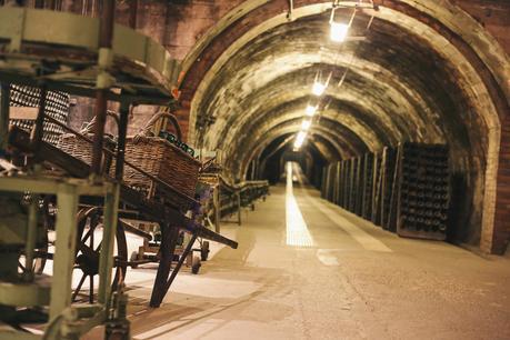 Un día con Rosa Clará en Cavas Codorníu bodas de cuento evento rosa clara codorniu www.bodasdecuento.com
