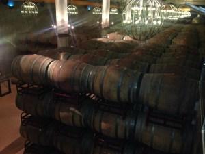 Pagos del Rey: Conociendo más cerca la cultura del vino