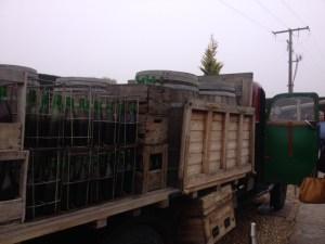 Pagos del Rey: Conociendo más cerca la cultura del vino