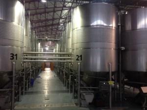 Pagos del Rey: Conociendo más cerca la cultura del vino