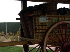 Pagos del Rey: Conociendo más cerca la cultura del vino